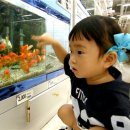 수빈마트 이미지