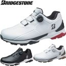 스파리스 이미지