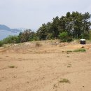 김병석공인중개사사무소 이미지