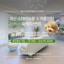 멍멍플레이스펜션 | 숙박이벤트,괴산 스테이소몽 촌캉스컨셉 애견동반펜션