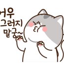 나무여행사 이미지