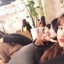 담양횟집