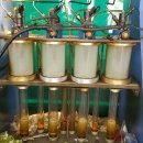 보쉬카 금암점 이미지