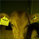 서울우유협동조합생명공학연구소 이미지