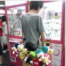 엽기뽑기 Daum카페