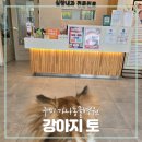 가나동물병원 이미지