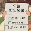테무에서 산 에세이 / 저자 국희라