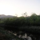 봉황대가든 이미지