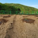 2020농장 이미지