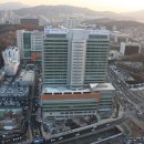 가톨릭대학교서울성모병 네이버블로그