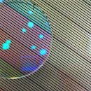 아이랜드by안경매니져 이미지