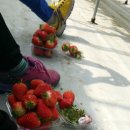 주몽농장 이미지