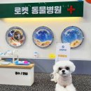 닥터k동물병원 이미지