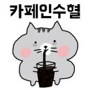 석정동 베이커리카페 이미지