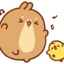 킨다릴리 이미지