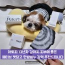 감초한방병원 | [공지] 아토피 13년차 강아지 피부에 좋은 페터브 펫당고 한방비누 강력 추천드립니다
