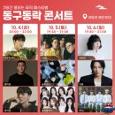대전 동구동락 축제 후기 | 최유리 김필 루시 라이브 영상