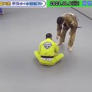 군산킹덤주짓수아카데미 이미지