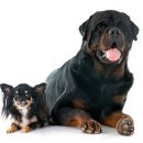 서산동물병원 이미지