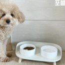 제이엠코코 | 제이엠코코 강아지 밥그릇 후기 켁켁거리는 증상 완화 제품