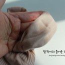 손삭스 이미지