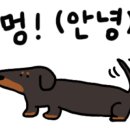 더꾼 이미지