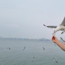 영종하늘도시16호 근린공원 내 이미지