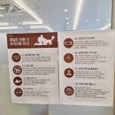 휴일 | 부산 강아지동반여행 이색코스 찜질방 휴일도 부산 후기