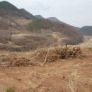 동부리태양광발전소 이미지