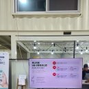 미어캣인더시티 | [202506] 혜자로운 김포투어패스여행 3 : 루나의 뜰&amp; 옛뜰 &amp; 미어캣인더시티