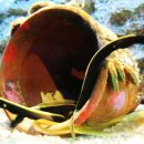 오션피드 이미지