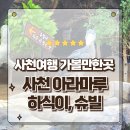 경남야생동물센터 | 경남 사천여행 가볼만한곳 아라마루 아쿠아리움 하식이 슈빌 수달 물범