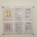 포항 발레 &amp; 현대무용 체험기, 포항 라비앙 발레 학원에서 색다른 경험