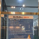 퍼피펜트하우스 | 일산 대형 애견카페 퍼피펜트하우스 방문 후기