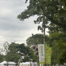 단오 | 2026 전주 단오 후기 🍀 비 와도 괜찮을까? 직접 다녀온 후기