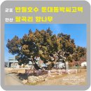 둔대동 박씨 고택 이미지