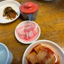 신가네샤브칼국수 - 증평군 창신로 76 | 신가네샤브칼국수