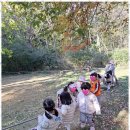 늘푸른몬테소리어린이집 이미지