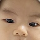 휘푸드 이미지