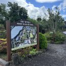 선흘정류장 이미지