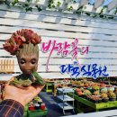 알퐁소농장2 이미지