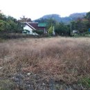 산척면사무소 이미지