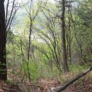 안씨농장 이미지