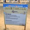 작품놀이 | 해운대해수욕장 | 22개월 아기랑 다이소 모래놀이 모래축제 후기(세족장 발씻는곳 위치 해운대 볼거리)