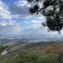 광교산농수산물 이미지