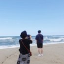 저팔계콧구멍 이미지