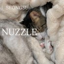너즐(Nuzzle)