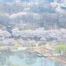 북서울꿈의숲 오패산 전망대 이미지
