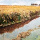 고내상 성지 이미지