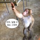 이 시간은 시대가 될 걸 알아요